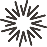 Black starburst pattern with a circular center on a transparent background.