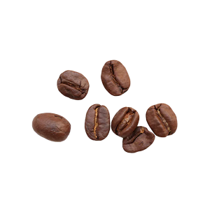 A small pile of seven roasted coffee beans on a white background.