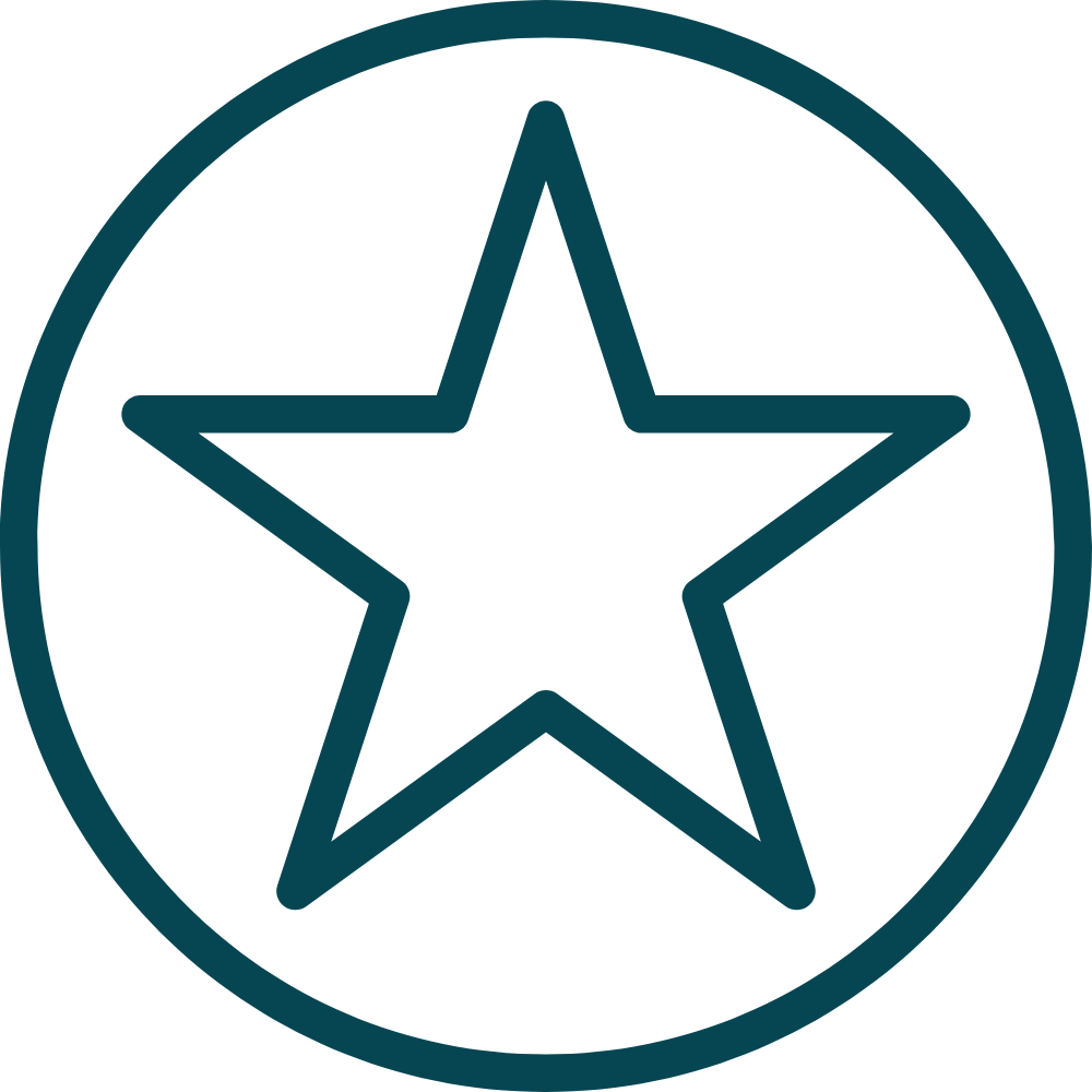 Outline of a star inside a circle on a transparent background.