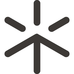 A dark gray, stylized icon of a spark or asterisk with six rounded lines.