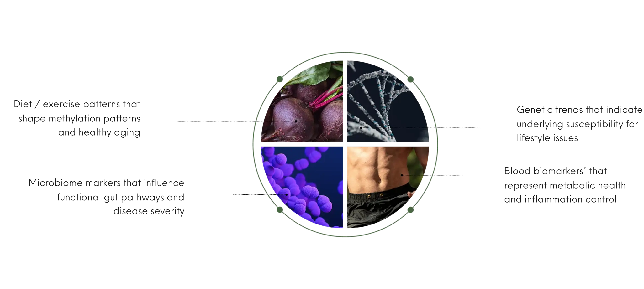 Four-section circle with beets, DNA strand, bacteria, and muscular torso images.