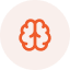 Icon of an orange brain inside a circle on a light background.