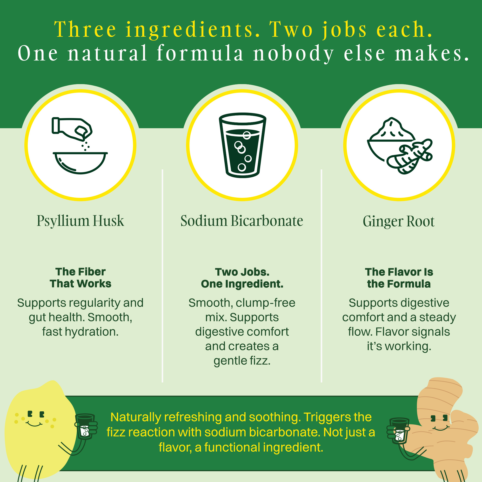 An infographic explaining the benefits of three ingredients: psyllium husk, sodium bicarbonate, and ginger root.