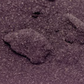 A close-up photograph of a rocky, sandy surface with a reddish-purple tint.
