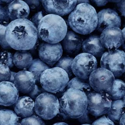A close-up, overhead shot of a large pile of fresh blueberries.