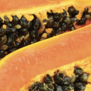 A close-up of a papaya cut in half, showing its orange flesh and black seeds.