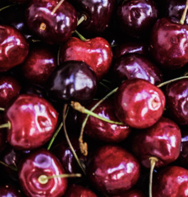 A close-up, overhead shot of a pile of fresh, ripe, dark red cherries with stems.