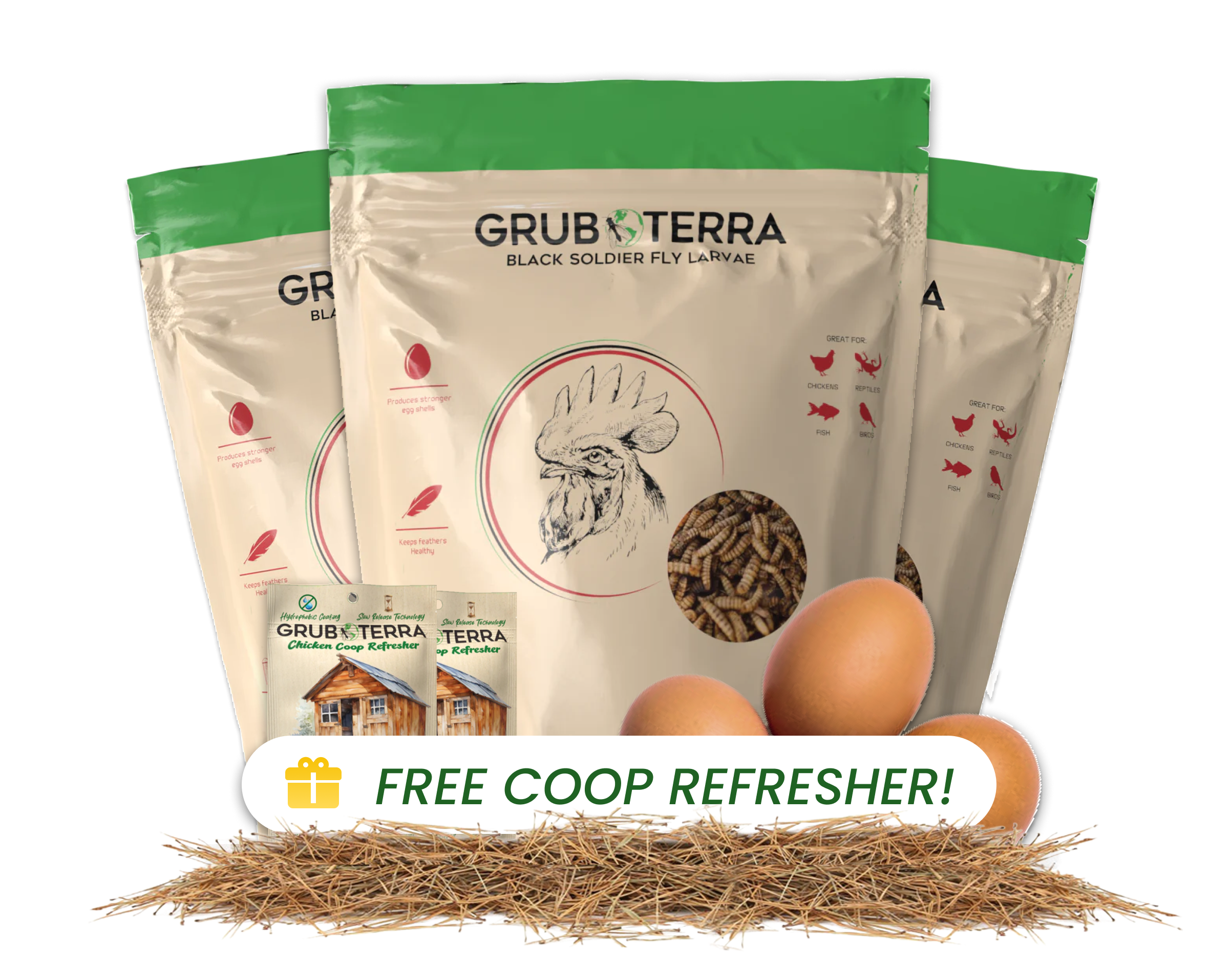 GrubTerra black soldier fly larvae bags with eggs and free coop refresher offer.