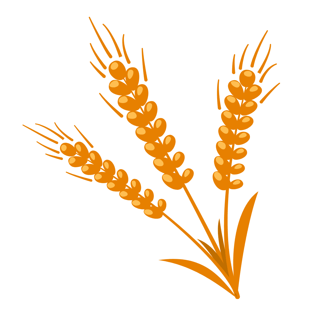A stylized illustration of three golden stalks of wheat on a green background.