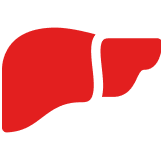 Red stylized liver icon on a black background.